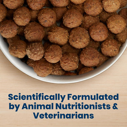 Blue Buffalo Nudges Beef & Rice Homestyle Natural Dog Treats, Meatball-Inspired Recipe, Healthy Reward or Training Treat, Made in the USA with Real Beef, No Artificial Preservatives, 16 Oz.5