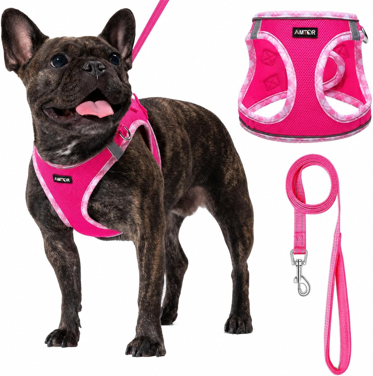 amtor-small-dog-harness-with-leash-set-no-escape-easy-walk-puppy-harnesses-for-training-walking-step-in-reflective-soft-dogs-vest-for-xs-s-medium-extra-small-large-sized-doggreen-s