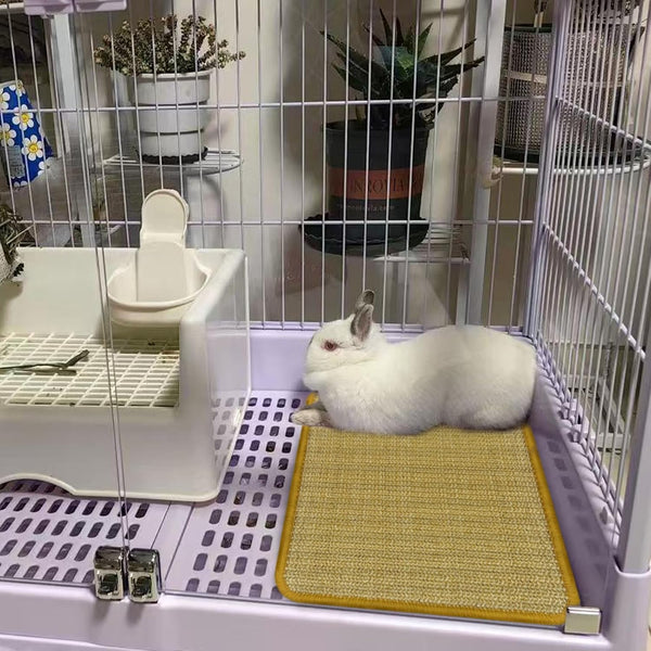 DYAUS Rabbit Scratching Pad, Sisal Bunny Scratch Pad, Natural Rabbit Foraging Mats for Cages, Indoor Bunny Toys Accessories for Bedding Biting Sleeping Resting (2PCS, 16X12In)5
