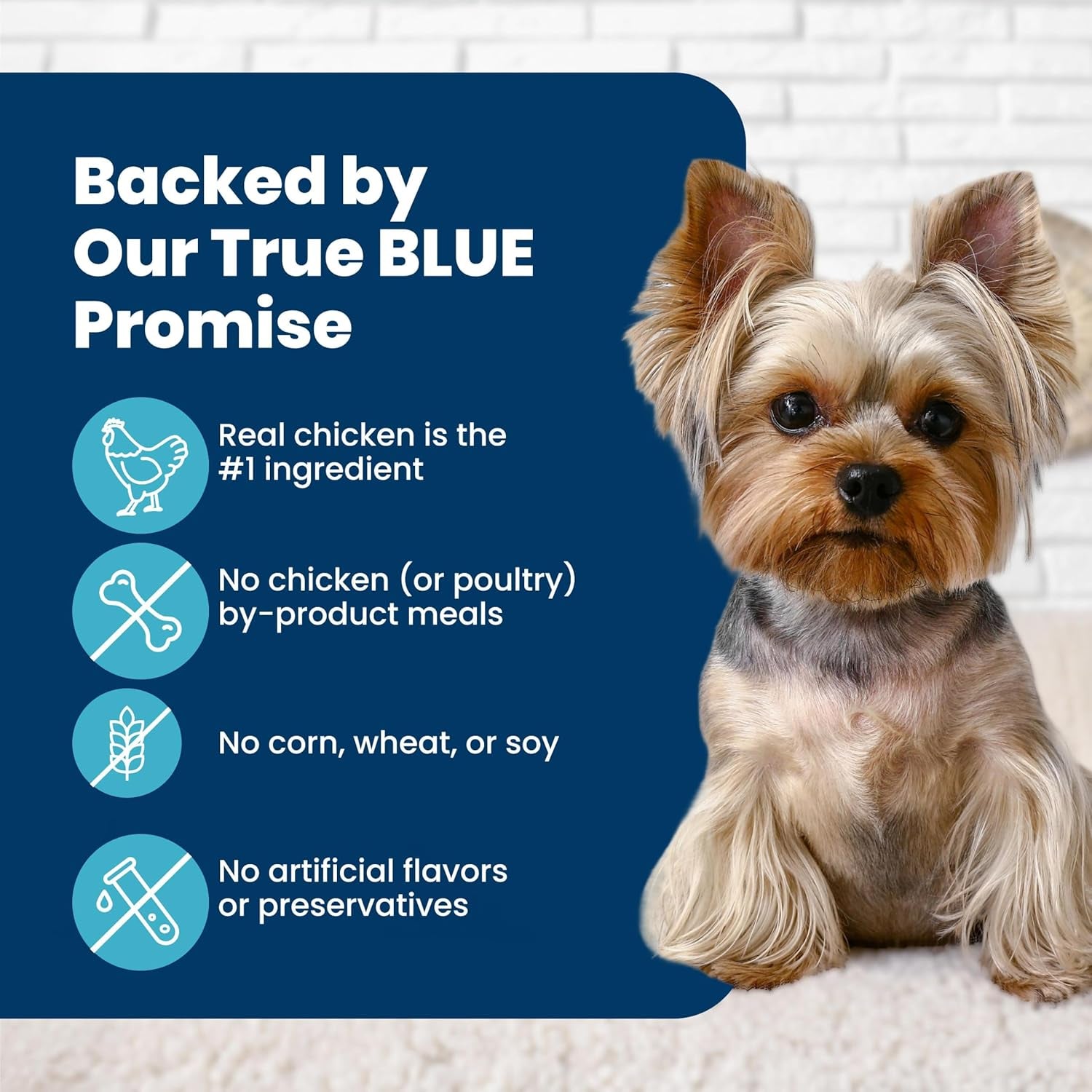 blue-buffalo-life-protection-formula-small-bite-chicken-dry-dog-food-15-lb-smaller-kibble-for-easier-chewing-real-chicken-1-ingredient-supports-immunity-with-antioxidant-rich-lifesource-bits