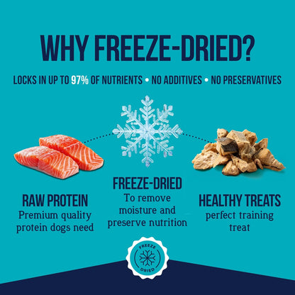 Stewart Freeze Dried Dog Treats, 100% Wild Salmon, 9.5 Oz Tub | Premium Quality Raw Protein, Single Ingredient, High Protein Training Treats & Food Topper, No Refrigeration, Cat Friendly3
