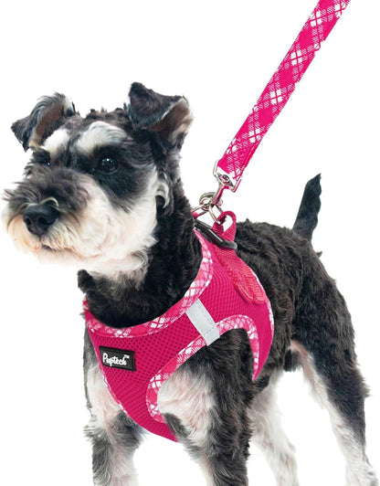 PUPTECK Dog Harness and Leash Set for Small Medium Dogs No Pull Step-In Soft Mesh Puppy Cat Vest Harnesses Reflective at Night, Green S9