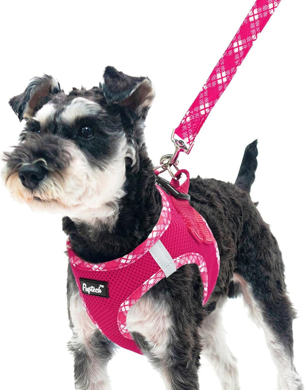 PUPTECK Dog Harness and Leash Set for Small Medium Dogs No Pull Step-In Soft Mesh Puppy Cat Vest Harnesses Reflective at Night, Green S9