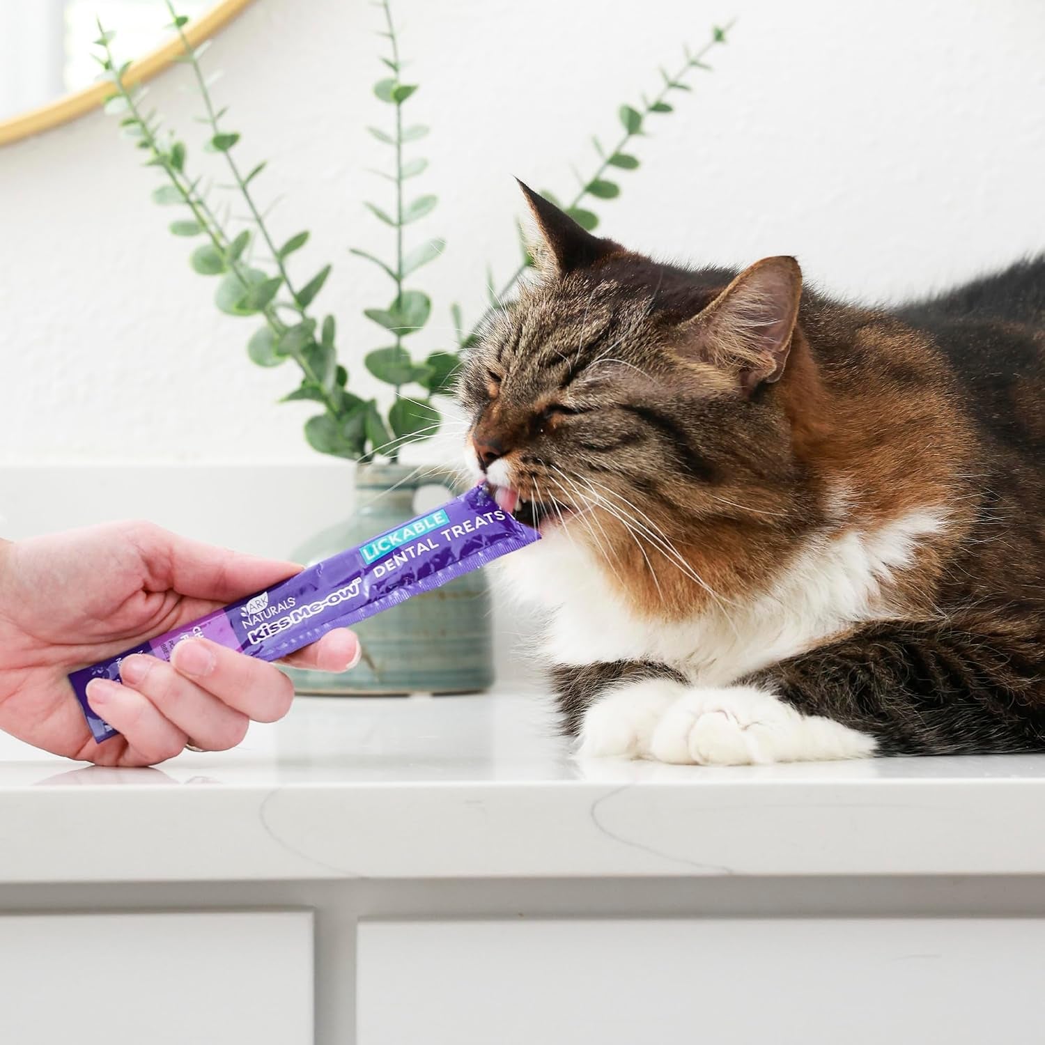 ark-naturals-kiss-me-ow-lickable-cat-treat-chicken-flavor-2-oz-promotes-hydration-dental-overall-health