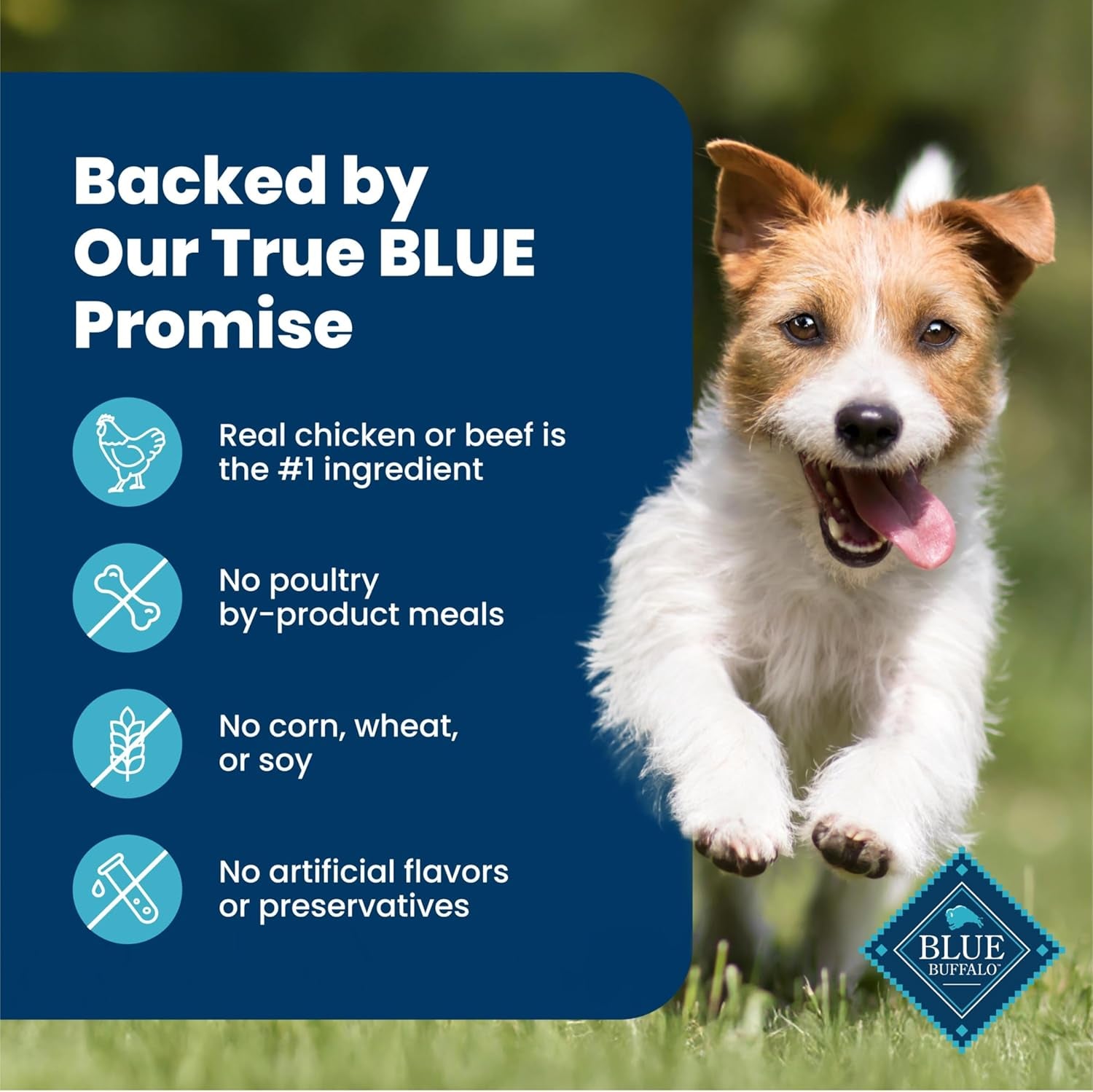 blue-buffalo-delights-variety-pack-natural-grain-free-wet-dog-food-for-small-breed-dogs-top-sirloin-flavor-pate-and-grilled-chicken-flavor-pate-with-natural-ingredients-3-5-oz-each-12-cups