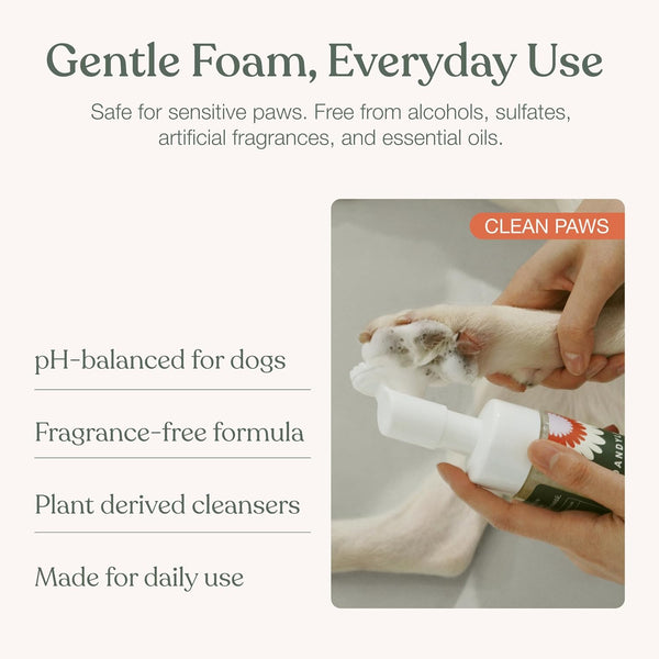 Dog Paw Cleaner, Clean Paws, No Rinse Foam Cleaner with Brush, 5 Fl Oz | Dandylion Dog Paw Washer, Fragrance Free, Ph Balanced, Waterless, Foaming Washer with Silicone Brush, Pet Cleaning Supplies4