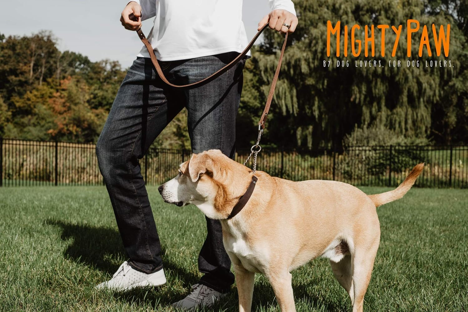 mighty-paw-martingale-dog-collar-no-pull-design-stainless-steel-chain-limited-chain-cinch-training-brown-leather-martingale-training-collar-medium-size