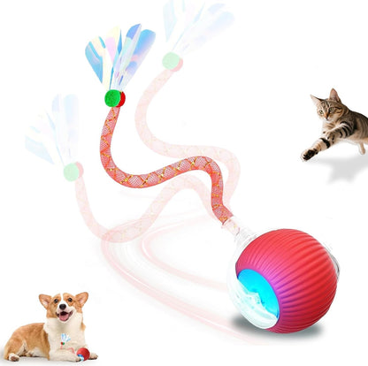 2-Pack USB Rechargeable Smart Cat Toy Ball, 360° Rotation Automatic Moving Chase Toy, Obstacle Avoidance Interactive Play with 4 Spiral Springs, Enrichment Toys for Indoor Cats, Puppies & Small Dogs14