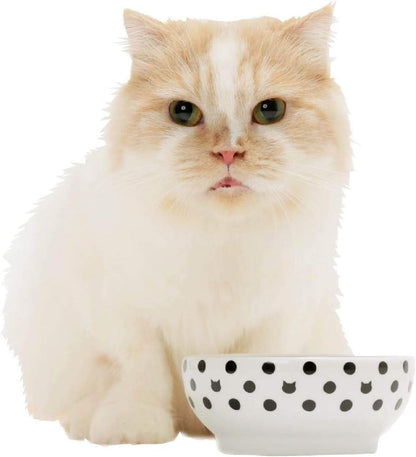 Necoichi Shallow Wide Ceramic Cat Food & Water Bowl (Paw, Basic Flat)9