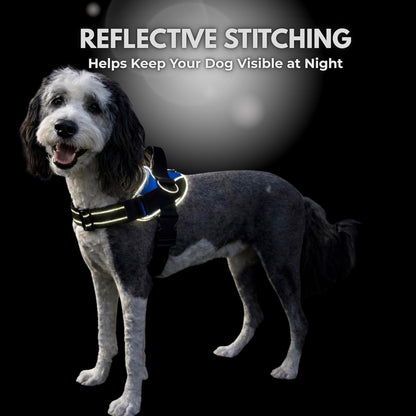 Shawnco Essential Dog Harness, No-Pull Pet Vest with 3 Leash Clips, No Choke, Reflective, Adjustable and Padded, for Easy Walking and Training for Small, Medium and Large Dogs (Oceanic Blue, S)8