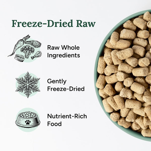 360 Pet Nutrition Freeze-Dried Raw Dog Food – Beef Recipe with Liver & Organs, High Protein with Omega-3S, Fruits, Veggies & Superfoods, Grain-Free, No Fillers, 1 Lb – Made in USA3