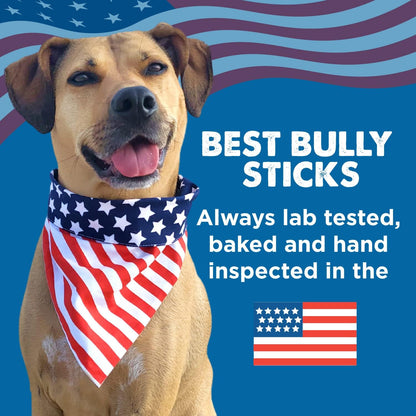 Best Bully Sticks Thick Bully Sticks Dog Chews, 6", 5 Count | 100% Grass-Fed Beef, Single Ingredient Natural Dog Chews, Easily Digestible, Long Lasting, Rawhide-Free, Grain-Free5