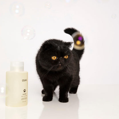 OUAI Fur Bébé Pet Shampoo - Cat & Dog Shampoo for Gentle Cleansing, Hydration & Shine - Vegan & Cruelty-Free Pet Supplies with Aloe Vera & Panthenol - Mercer Street Scent (16 Fl Oz)8