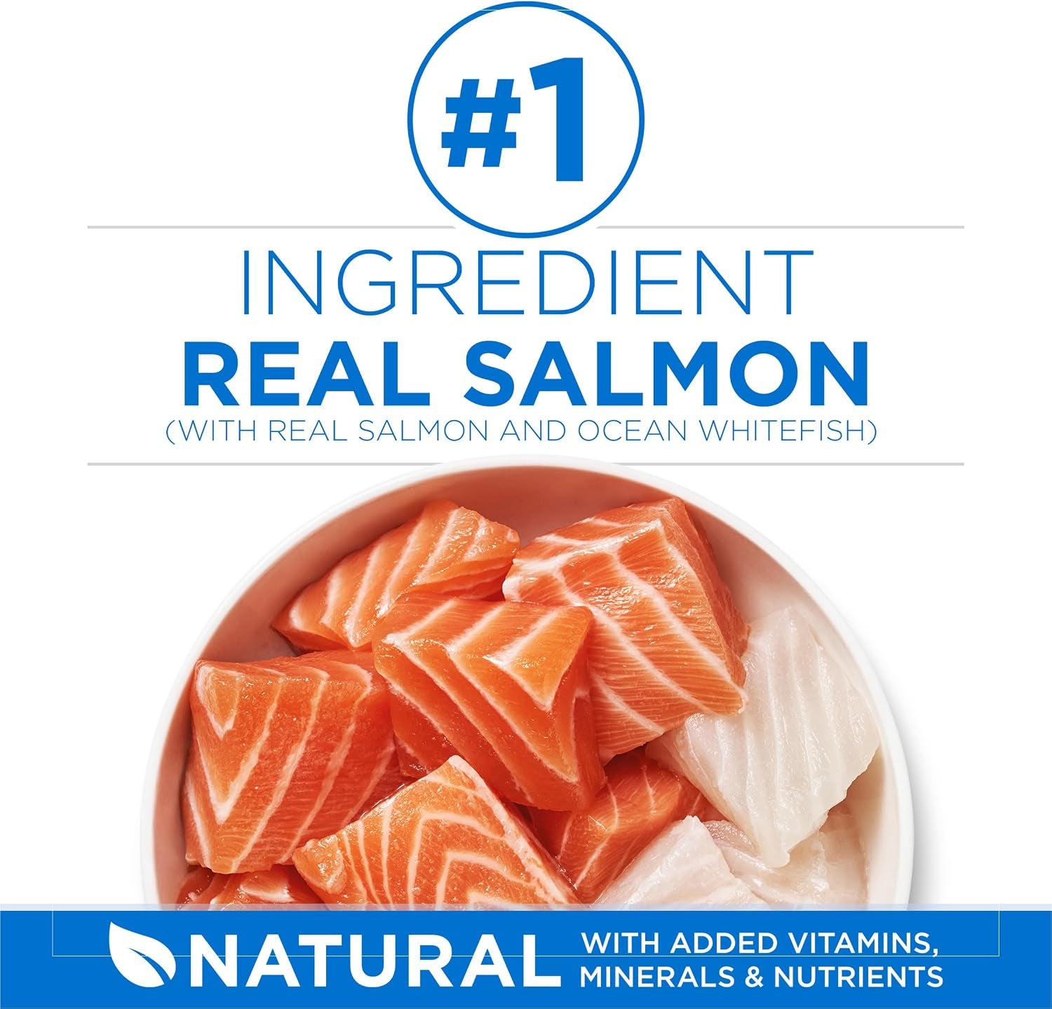 purina-one-plus-high-protein-cat-food-dry-salmon-and-ocean-whitefish-cat-skin-and-coat-health-formula-3-5-lb-bag