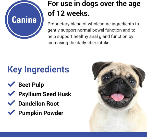 No Scoot for Dogs, Healthy Anal Support - 120 Soft Chews | No Scoot Chews for Dogs - Supports Healthy Gland Function, Normal Bowel Functions, Increases Daily Fiber Intake5