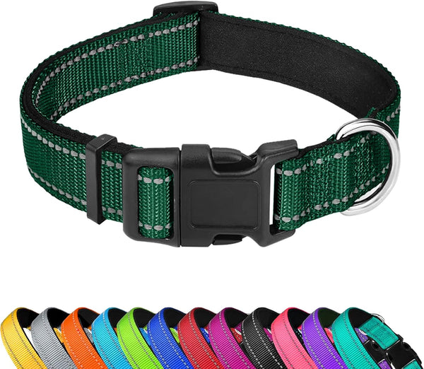 Reflective Dog Collar, Adjustable Soft Neoprene Padded,Teal,M | Breathable Nylon for Medium Dogs,Tear-Resistant Webbing,Chafe‑Free on Walks and Hikes,Metal D-Ring,Night Safety21
