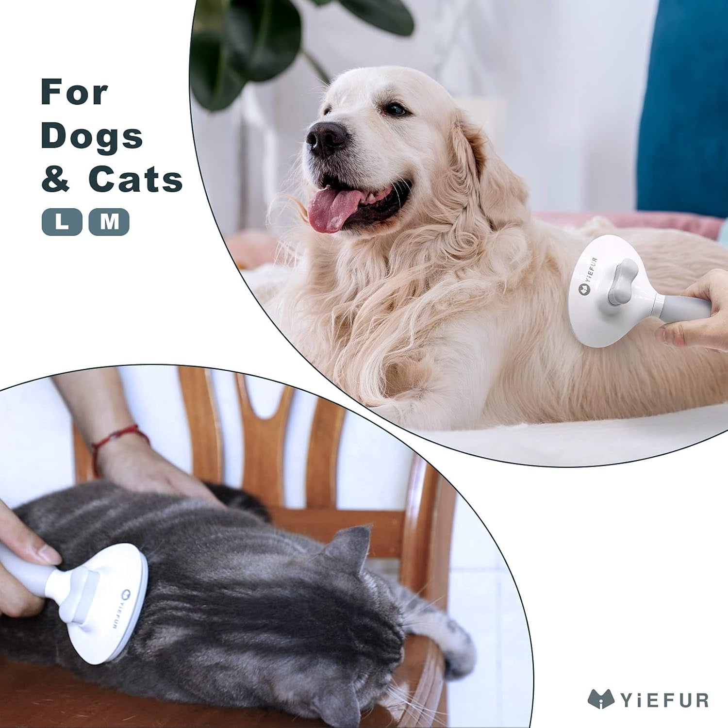 cat-brush-for-shedding-self-cleaning-brush-for-long-short-hair-cats-removes-loose-hair-gentle-massage-for-indoor-cats-reduces-shedding-soft-rounded-tips-ergonomic-silicone-handle-easy-grooming