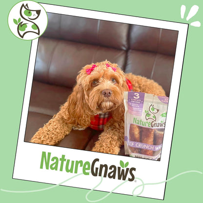 Nature Gnaws Beef Trachea Crunch Wraps for Dogs (3 Count) - Long Lasting Natural Beef Jerky Dog Chew Bones - Rawhide Free6