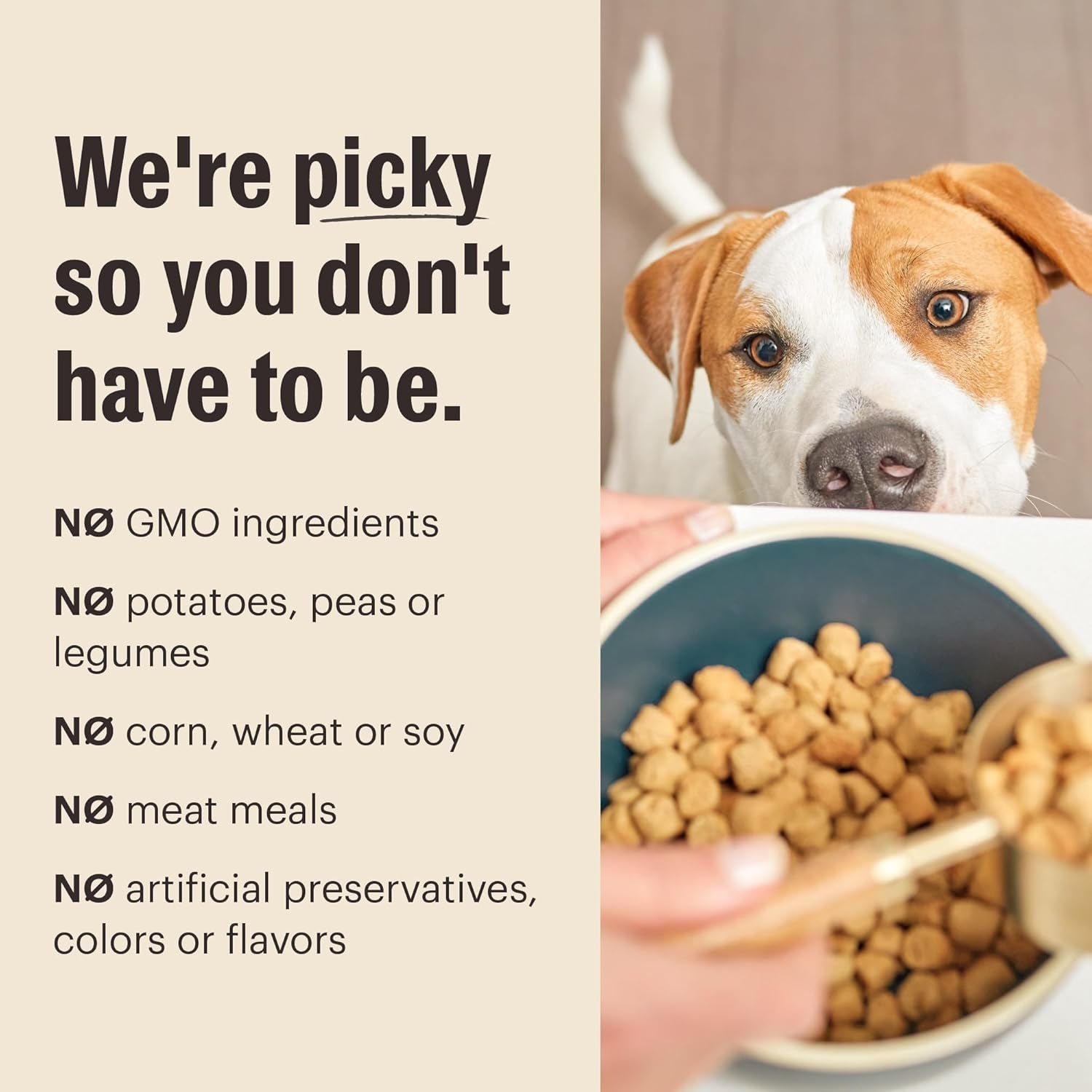the-honest-kitchen-whole-food-clusters-small-breed-whole-grain-chicken-dry-dog-food-4-lb-bag
