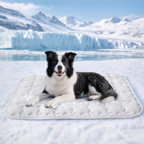 Luciphia Dog Cooling Mat, Q-MAX>0.5 Non-Slip Self-Cooling Pad for Pets | Elastic Support, Joint Protection; Q-MAX>0.5 Instant Cooling Needs No Power; Non-Slip Washable Dog Bed; Light Blue 20X3011