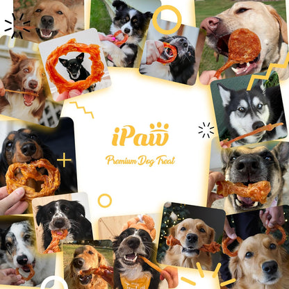Ipaw Turkey Tendon for Dogs, All Natural Human Grade Puppy Chew, Strips | Single Protein, Hypoallergenic, Grain Free, Rawhide Alternative Dog Treats, Us-Sourced Turkey6