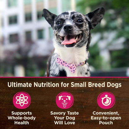 Wellness CORE Small Breed Mini Meals Shredded in Gravy Adult Wet Dog Food, Grain Free, Natural, Chicken and Turkey Dinner Recipe, 3 Oz, Pack of 12 Pouches4