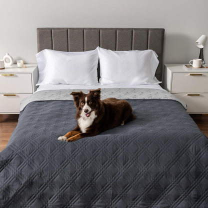 Petami Waterproof Couch Cover for Dogs, Non-Slip Leakproof Sofa Furniture Protector for Pet Cat, Machine Washable Bed Blanket for Car Seat, 102X82 Gray2