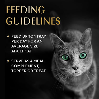 Sheba Bisque Cat Treats & Food Toppers, Variety Pack, 1.4 Oz, 24 Count | Grain-Free, Chicken, Tuna & Salmon Recipes, Low-Calorie, Protein-Rich, Hydration Support, No Artificial Flavors, 1.4 Oz Bowls8