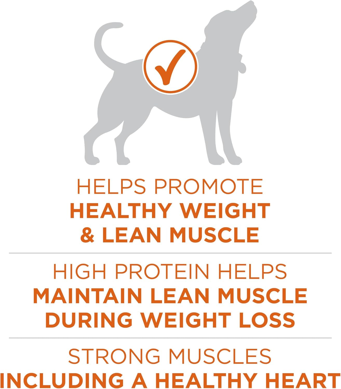 purina-one-plus-healthy-weight-high-protein-dog-food-dry-formula-16-5-lb-bag