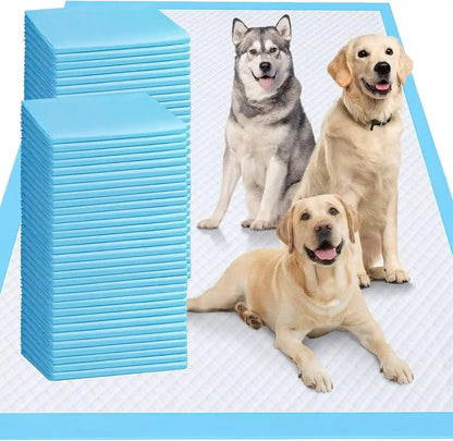 Blue dog training pads with happy dogs on a clean, absorbent surface for pet care essentials.12