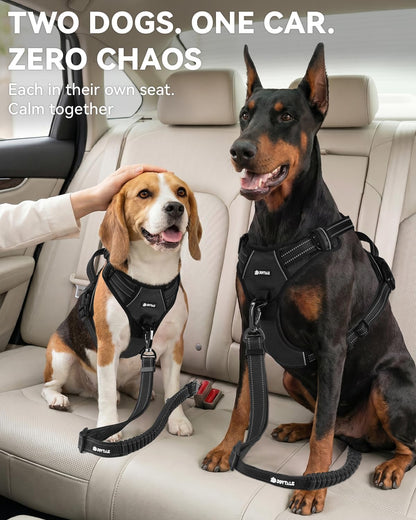 Joytale 3-In-1 Bungee Dog Seat Belt for Car, Medium and Large Dogs, Black | Seatbelt Buckle, LATCH, Cargo Hook, Shock-Absorbing, 360° Swivel Slide-To-Lock Zinc Buckle, for Distraction-Free Driving7