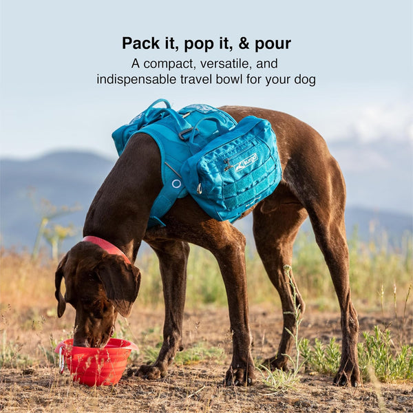Kurgo Collaps-A-Bowl, Barn Red | Collapsible Travel Dog Bowl, Holds up to 24Oz, Food-Grade Silicone, PVC & Bpa-Free, Dishwasher Safe, Includes Carabiner Clip2