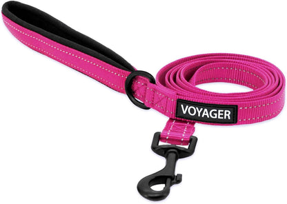 Best Pet Supplies Voyager Nylon Dog Leash - Fuchsia, Small | 5Ft in Length, 5/8" in Width, Reflective, Soft Neoprene Handle, Heavy Duty Metal Clips for Running, Walking & Training30