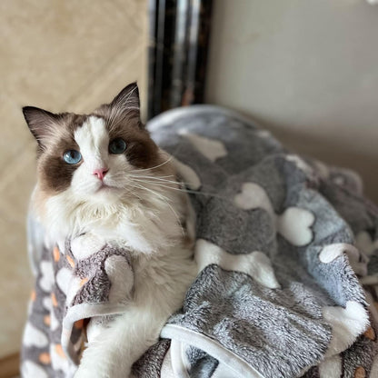 1 Pack 3 Puppy Blankets Super Soft Warm Sleep Mat Grey Cute Print Blanket Fluffy Fleece Pet Blanket Flannel Throw Dog Blankets for Small Dogs Puppy Dogs Fluffy Cats,Bone-Small(23"X15")7
