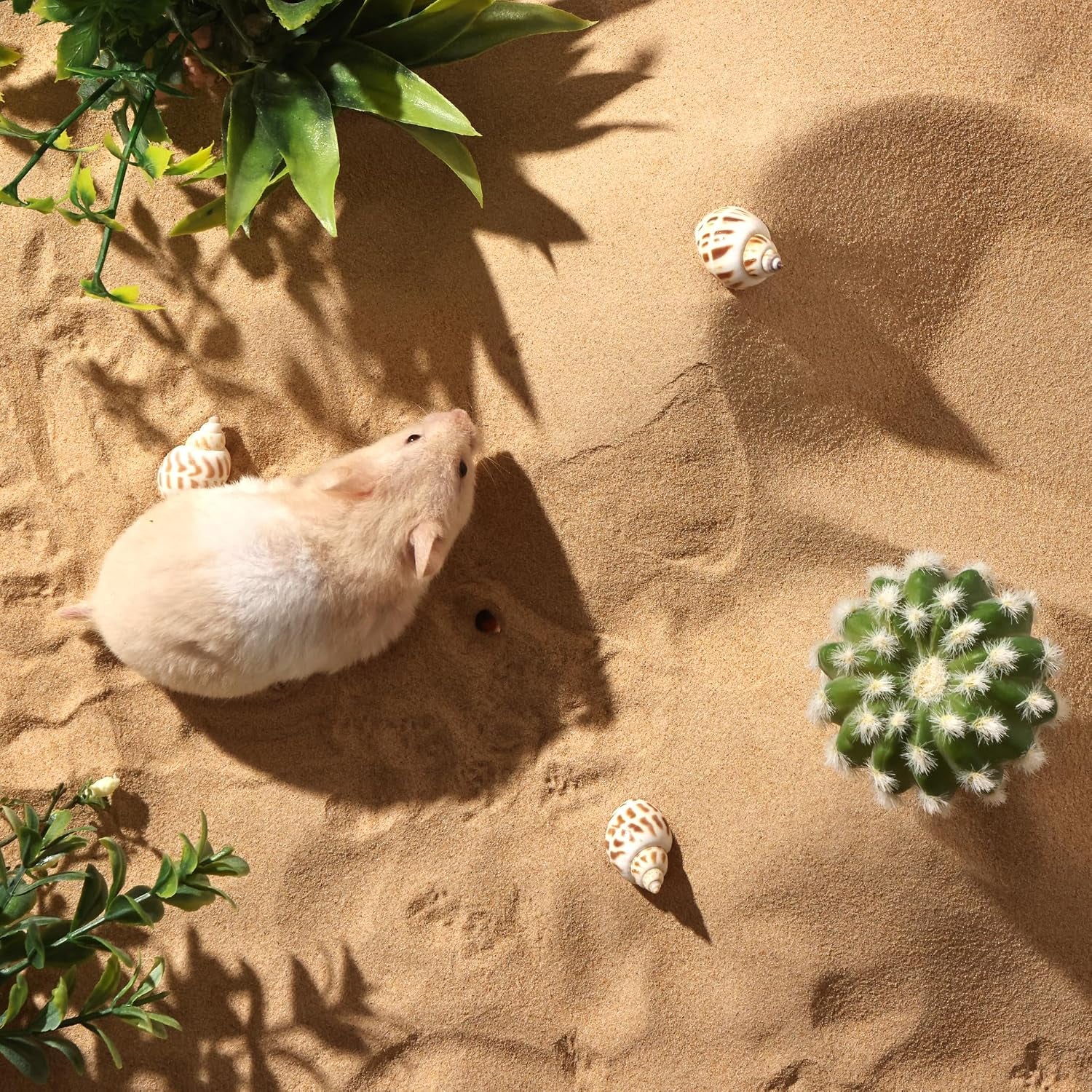 bucatstate-hamster-bath-sand-with-pour-spout-6-6lb-desert-bath-sand-no-dust-potty-litter-calcium-free-sand-for-hamster-chinchillas-gerbil-mice-degu-or-other-small-pets-fine-sand