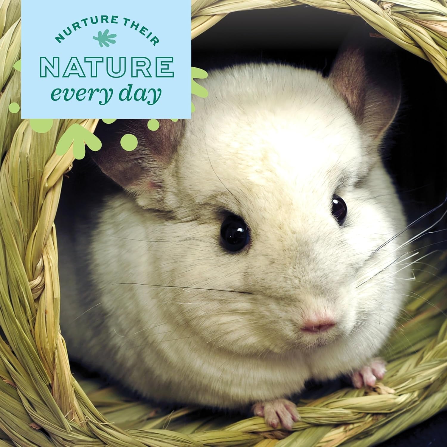 oxbow-timothy-hay-bungalow-guinea-pig-hideout-rabbit-house-large-bunny-hideout-rabbit-hide-guinea-pig-house-hand-woven-timothy-hay-for-guinea-pigs-chinchillas-and-rats-edible