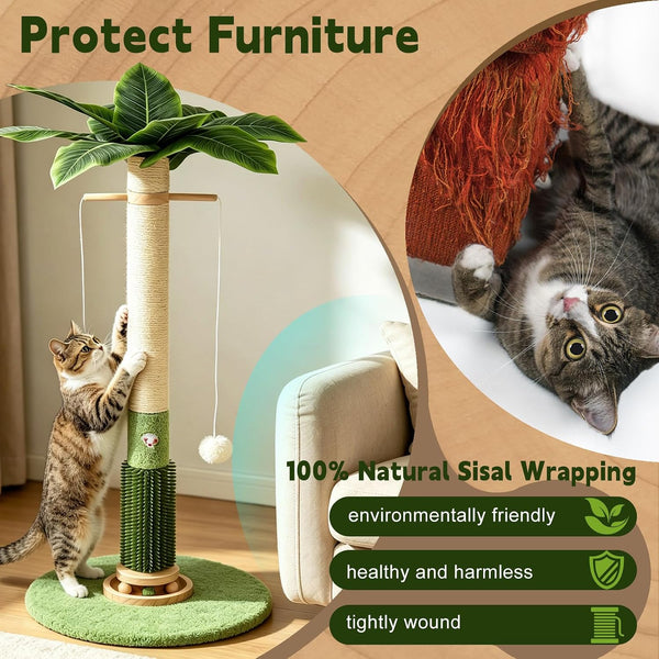 Cat Scratching Post,37.5'' Tall Palm Tree Sisal Scratcher for Indoor Cats | Natural Sisal Stable Vertical Scratcher Tower Mouse Hole Toy Rotating Interactive Ball Self Groomer for Full Body Stretching4