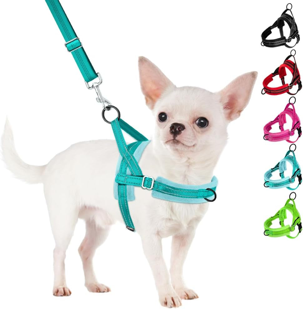slowton-no-pull-small-dog-harness-and-leash-set-puppy-soft-vest-harness-neck-chest-adjustable-reflective-lightweight-harness-anti-twist-pet-lead-combo-for-small-medium-dogs-fuchsia-xxs