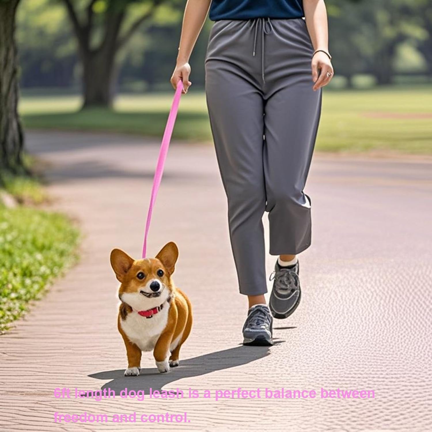 6-ft-puppy-leashes-strong-traditional-style-leash-with-easy-to-use-collar-hook-dog-lead-great-for-small-and-medium-and-large-dog-pink-5-8-in-x-6-ft