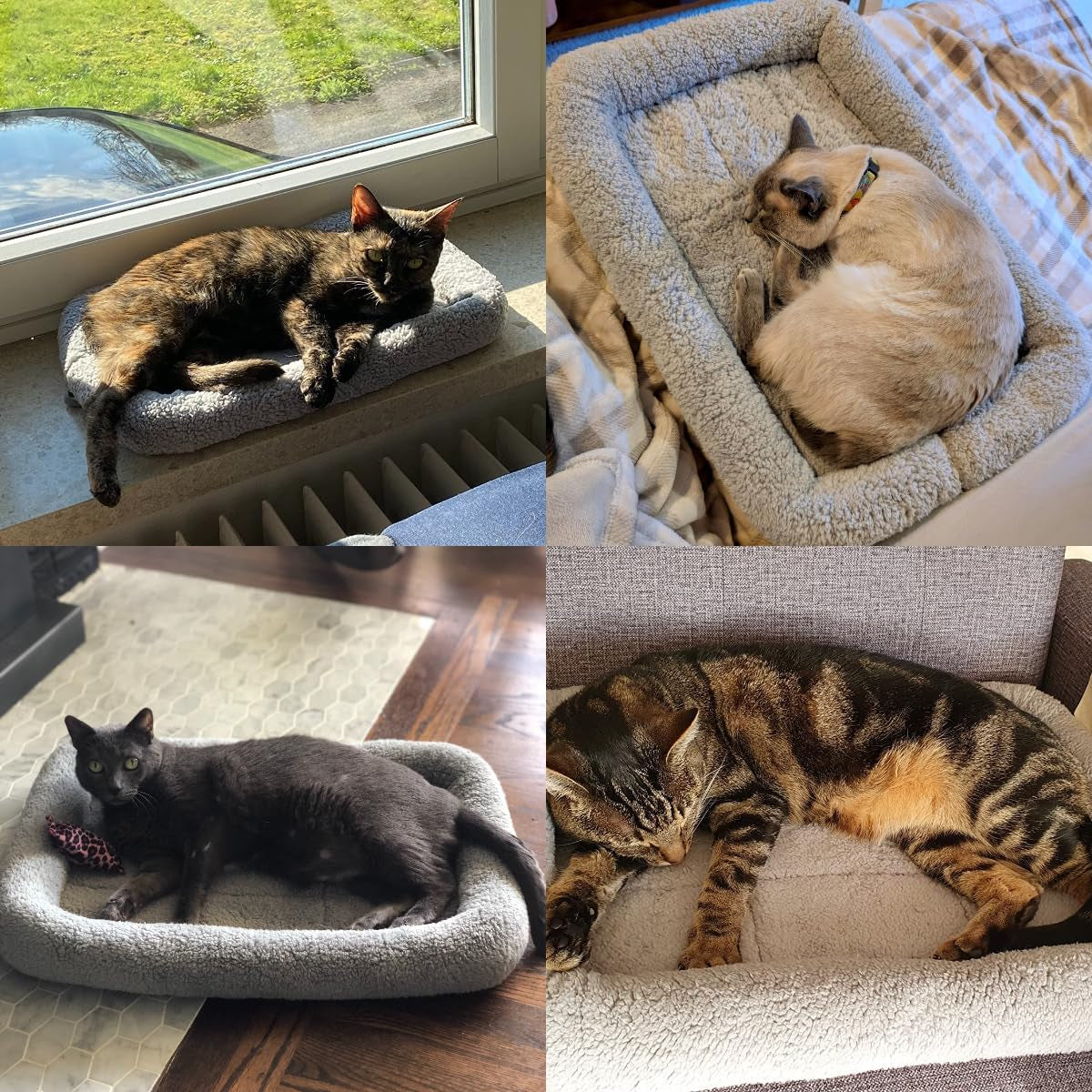 lesypet-cat-bed-for-indoor-cats-soft-cat-cushion-with-cat-pillow-around-rectangle-kitten-pad-small-bed-for-window-sill-15-x-10