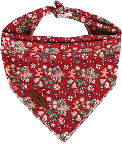 Lionet Paws Dog Bandana for Small Medium Large Dogs, Cat Kerchief Blue DOIT, Triangle Bibs Scarf for Girl or Boy29