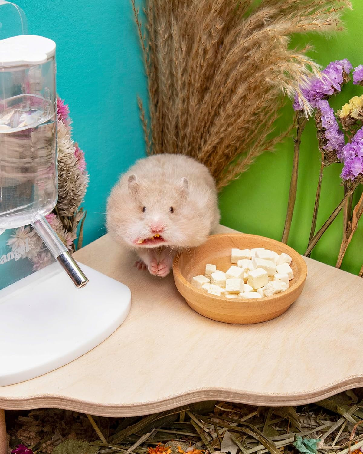 niteangel-hamster-snack-treats-toy-freeze-dried-tofu-no-additive-delivers-essential-vitamins-minerals-small-animal-natural-treat-for-dwarf-syrian-hamsters-gerbils-mice-degus-or-small-pets
