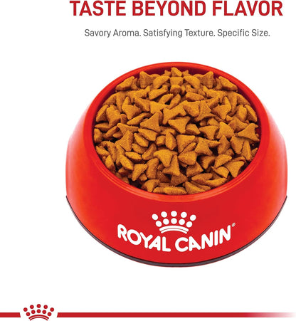 Royal Canin Feline Care Nutrition Hairball Care Adult Dry Cat Food, 6 Lb Bag11
