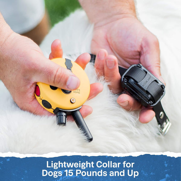 Educator ET-300 Mini E Collar for Dog Training with Remote - 1/2 Mile Range, Waterproof, 100 Blunt Stimulation Levels, Tone or Vibration Mode, Night Light Tracking for Small, Medium & Large Dogs9