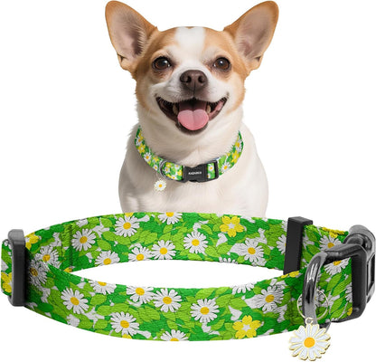 Kazazoo Dog Collar Cute and Soft Nylon Puppy Collar Girl Dogs, Adjustable Purple Dog Collars for Medium Dogs, Purple Flowers-M46