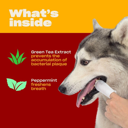 OH NORMAN! Dog Dental Finger Wipes, Fresh Breath, Vet Developed, 50 Ct | Vet-Reviewed Finger Wipes with Peppermint & Green Tea Extract Remove Plaque & Freshen Breath. No-Fuss Dental Cleaning3