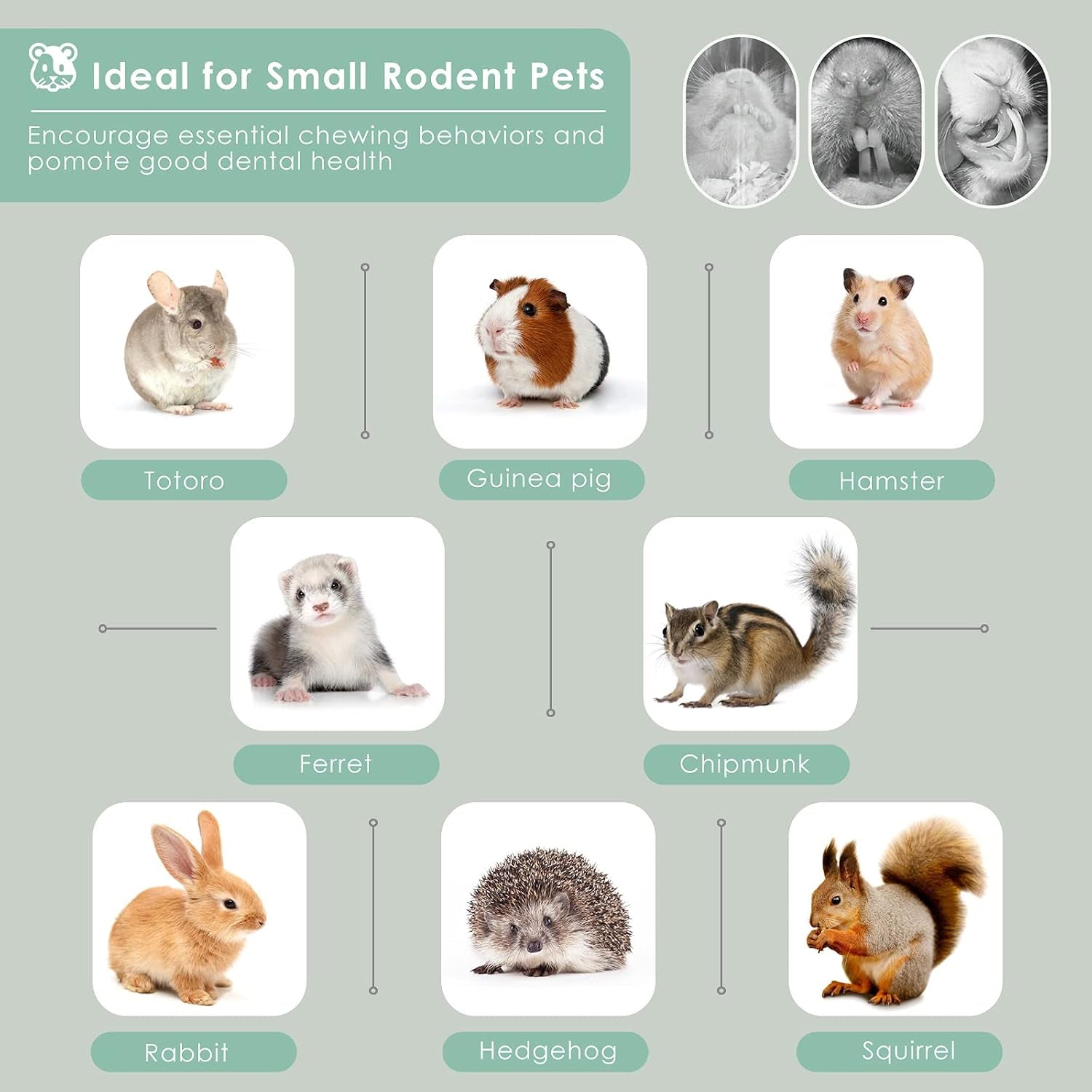 bissap-250g-0-5ib-sweet-bamboo-chew-sticks-for-rabbits-bunny-molar-treats-snack-for-small-animals-hamster-chinchilla-guinea-pigs-rabbit-squirrel-natural-teeth-grinding-toys