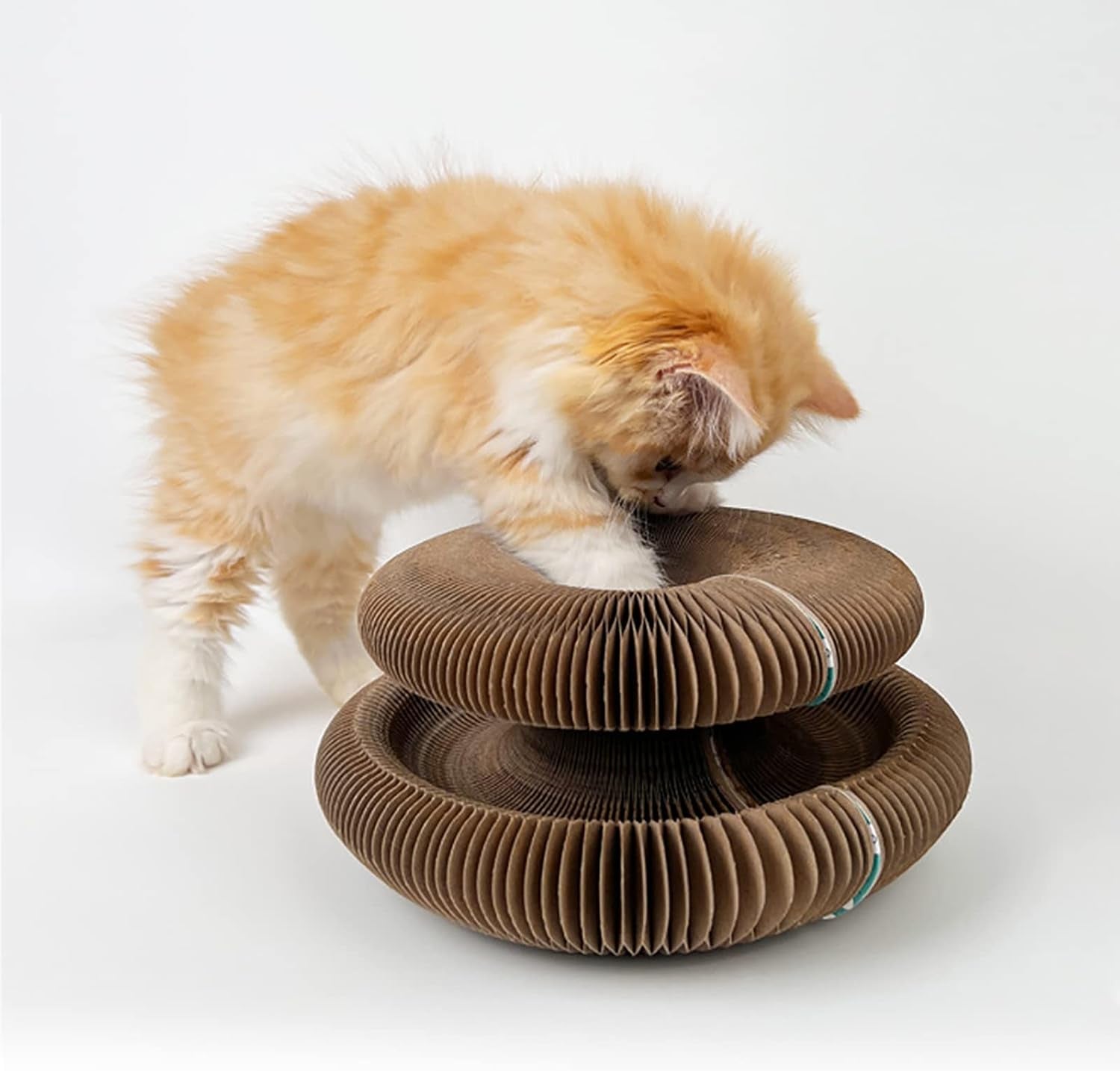 magic-organ-cat-scratching-board-accordion-toy-cat-butler-snuffle-paw-cardboard-slinky