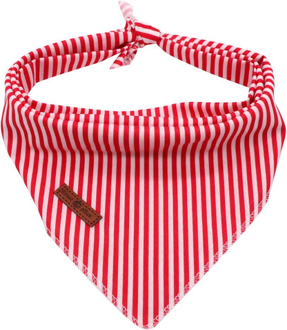 Lionet Paws Dog Bandana for Small Medium Large Dogs, Cat Kerchief Blue DOIT, Triangle Bibs Scarf for Girl or Boy24