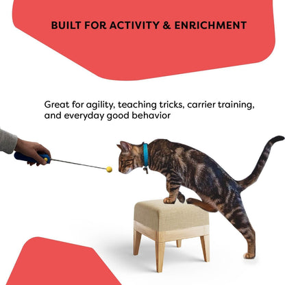 Cat Training Clicker with Detachable Wearable Finger Clicker & Target Stick – Positive Reinforcement Training Tool for Cats – Ideal for Behavior, Tricks & Enrichment8